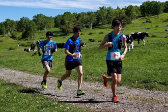 スポーツ合宿陸上競技