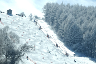 スポーツ合宿スキー・スノーボード